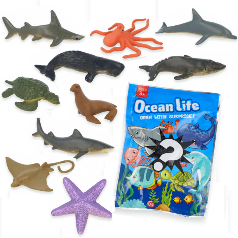 Ocean Life Surprises